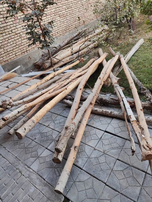 Terak, sasna, archa,yoğochlar sotiladi