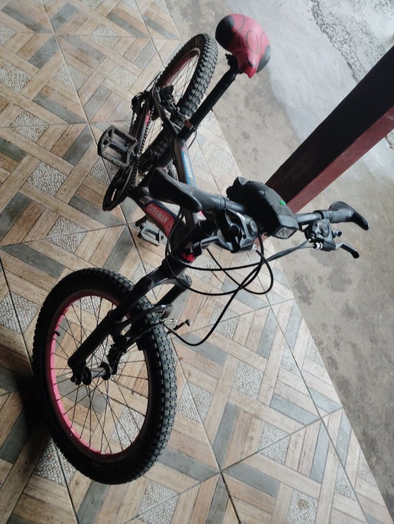 Vând bicicleta copii cu roti pe 20