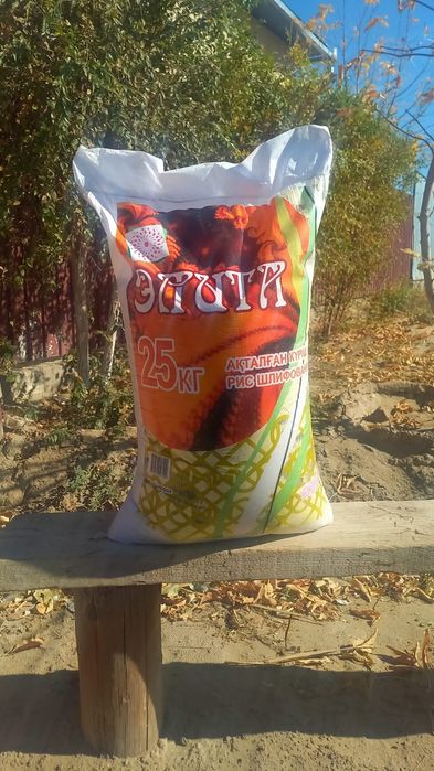 Продам Кызылордински рис