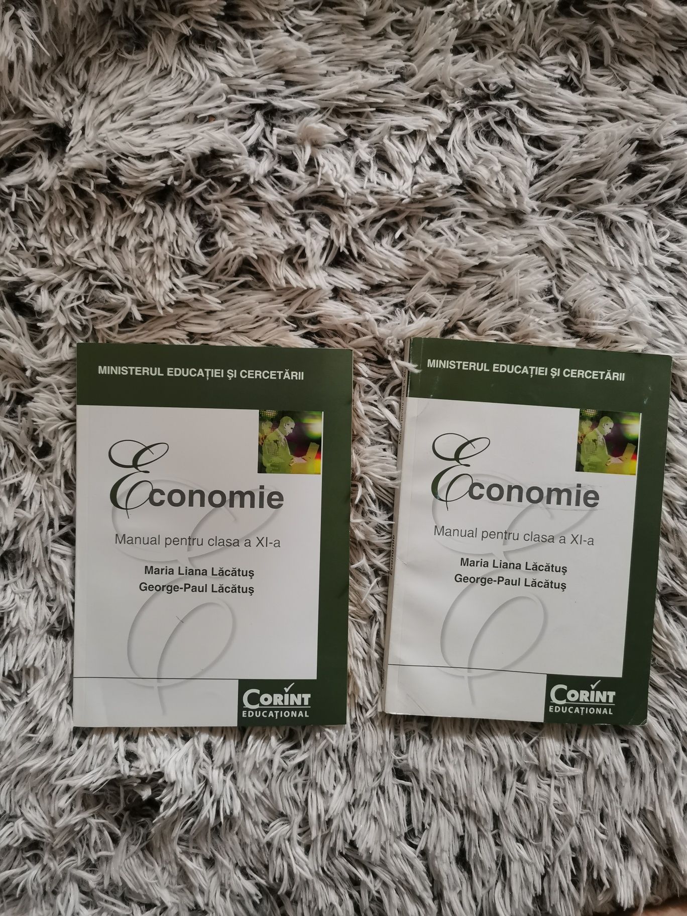 Carte Economie / Manuale clasa a XI-a editura Corint