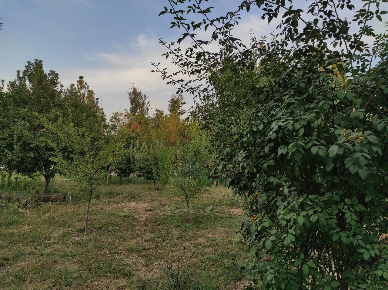 Продаётся дом 18 соток