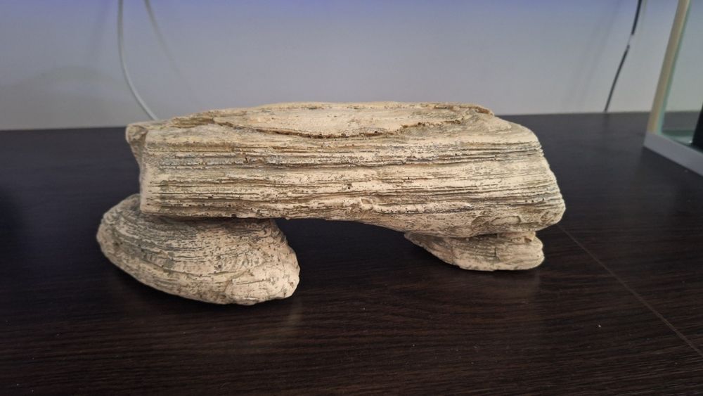 Acvariu 50 litri cu toate accesoriile necesare