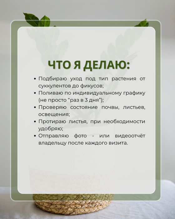 Уход за цветами | Ташкент
