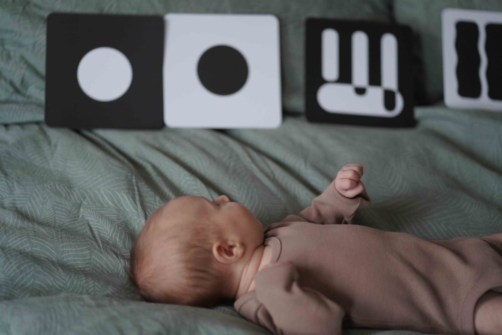 Образователни карти