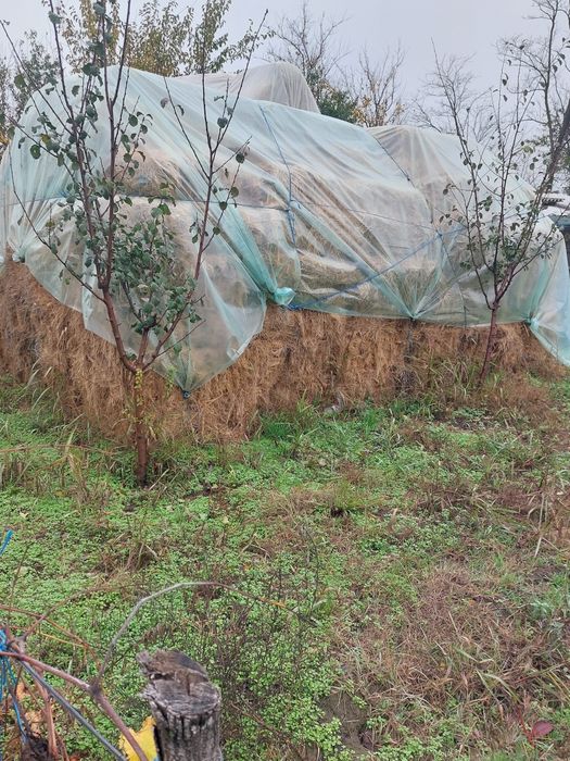 Baloti de fan si de paie 400 bucati