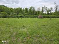 Vanzare - Teren intravilan la Barsana, suprafata de 14.290 mp