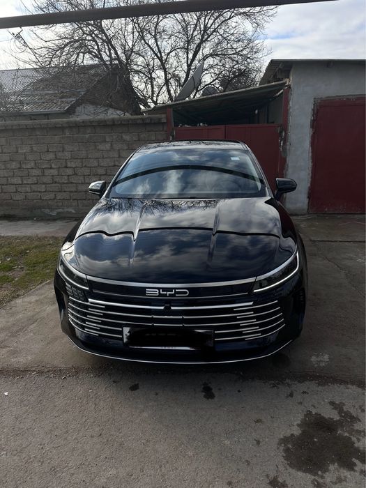 Byd chazor (1позиция)