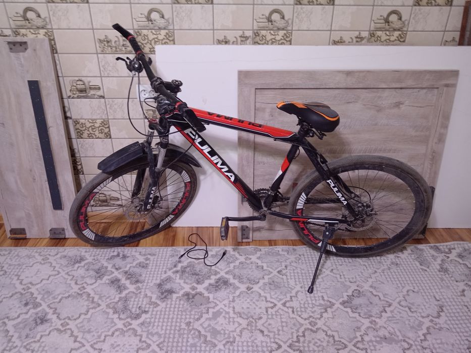 Pulima velik sotiladi