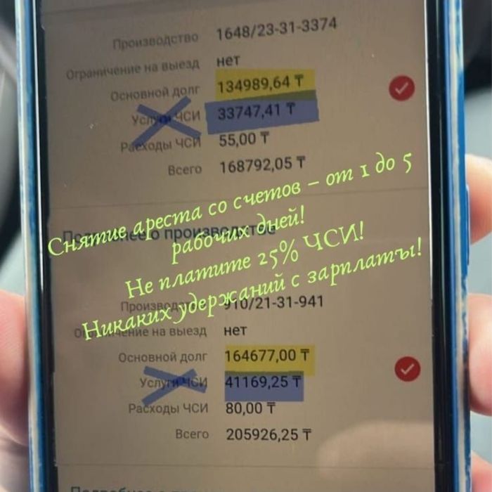 Арест шешу - Снятие ареста ЧСИ - График МФО - Запрет на выезд - ЭЦП