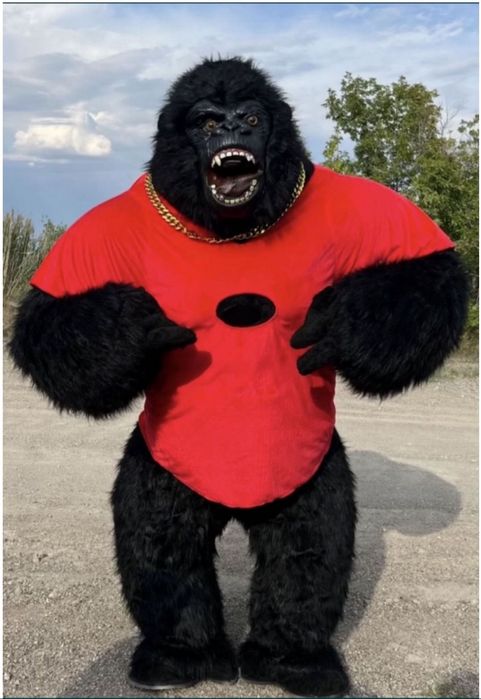 Поздравления от грозной гориллы 2,6 метра! Шок - цена, всего 10 тыс.