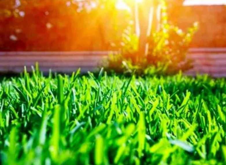 Gazon Rulou , Sisteme de irigatie Calitate Extra