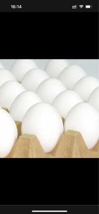 Яйца куриные оптом любой объём и в розницу. Также фарш куриный и други