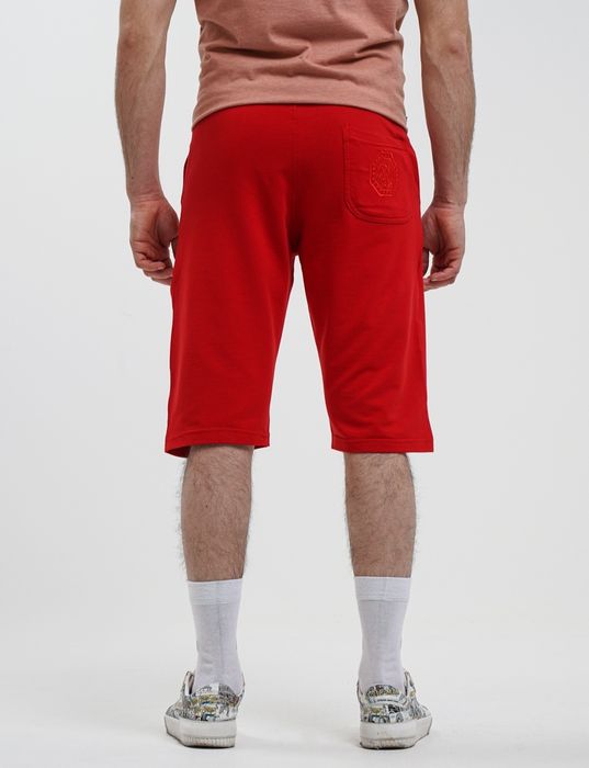 Шорты мужские greed