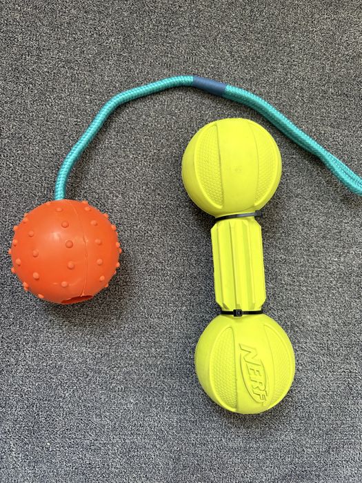 Гумен кокал за куче