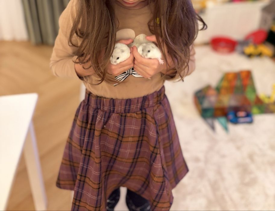 Donez hamsteri pitici siberian