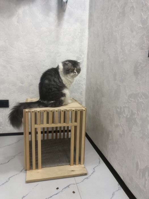 Комнатный домик для собачки.