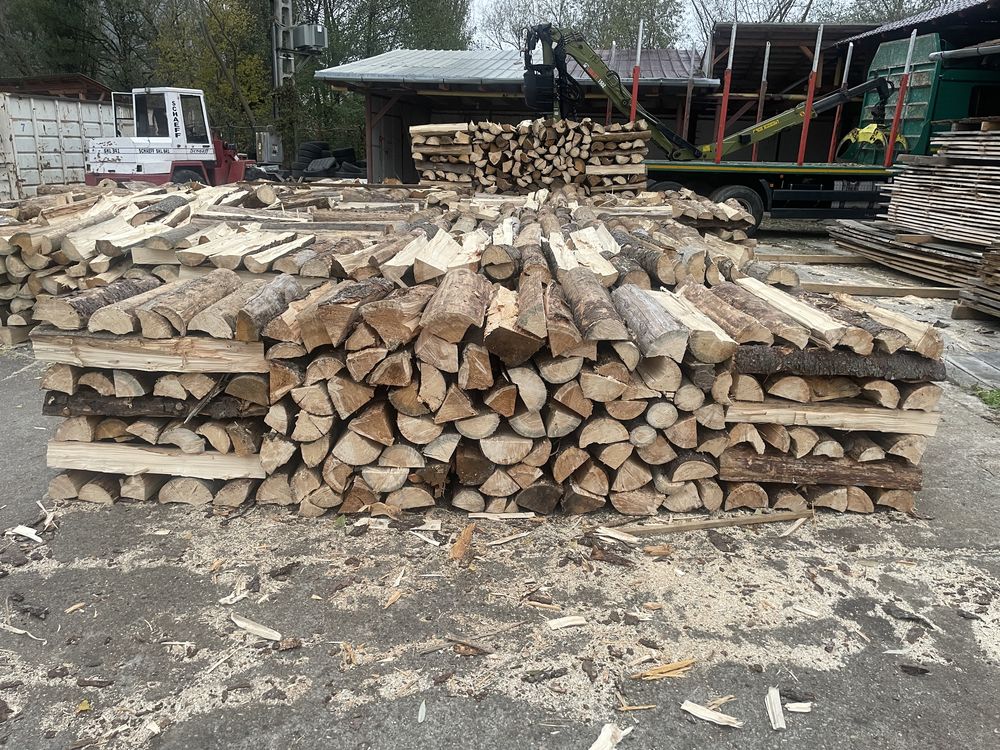 Lemn de foc, esenta fag
