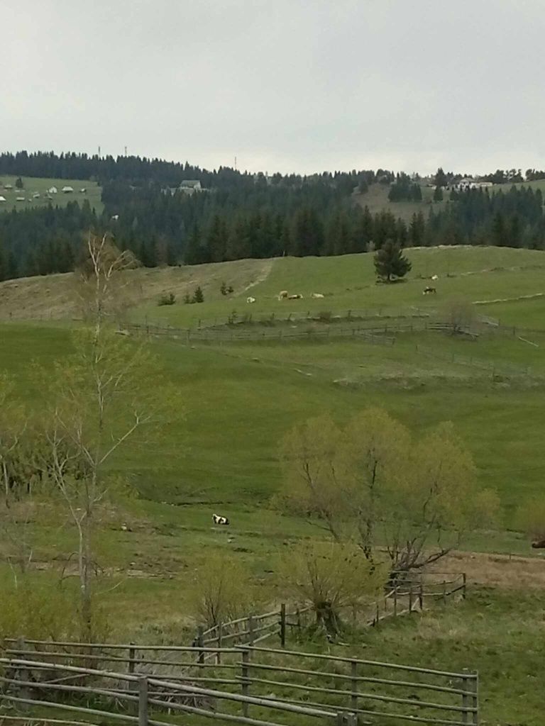 Vând casă de vacanță la munte și teren