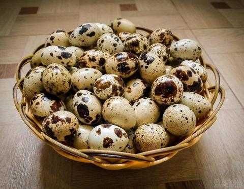 Перепелиные яйца с доставкой по Алматы.