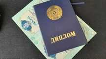 Диплом колледжи ВУЗы магистратура аттестаты