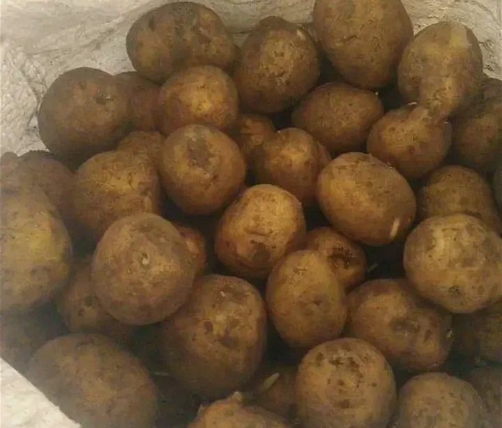 Продам картофель средний