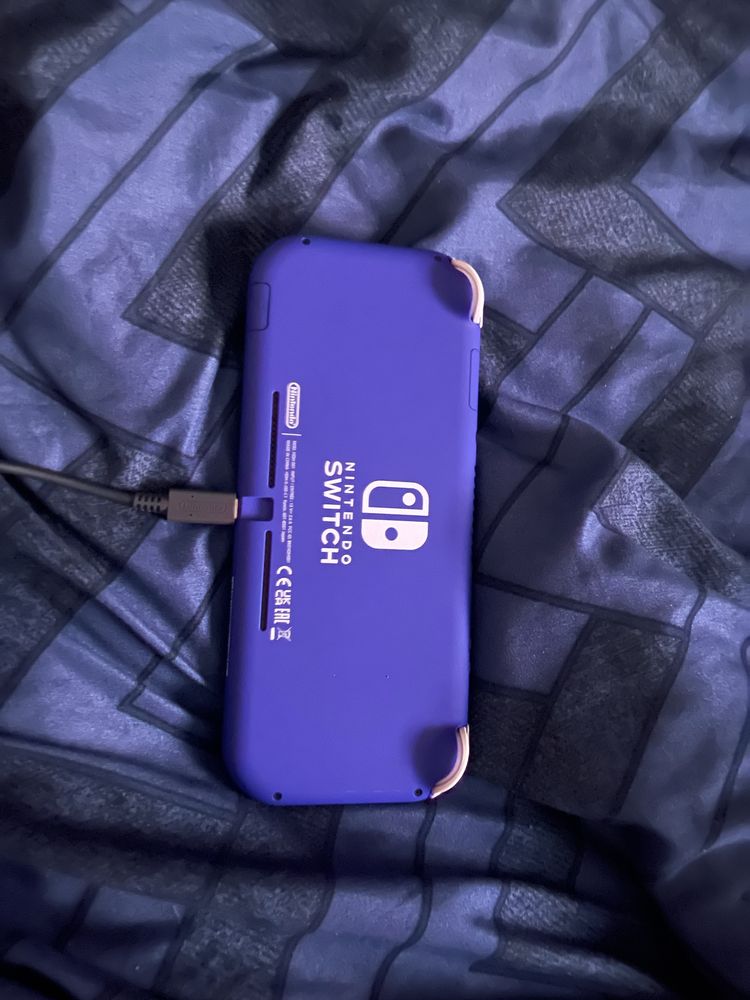 Nintendo switch lite