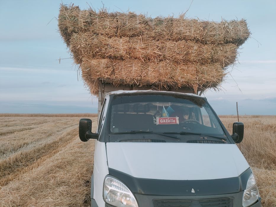 Сабан прес бар 300тг