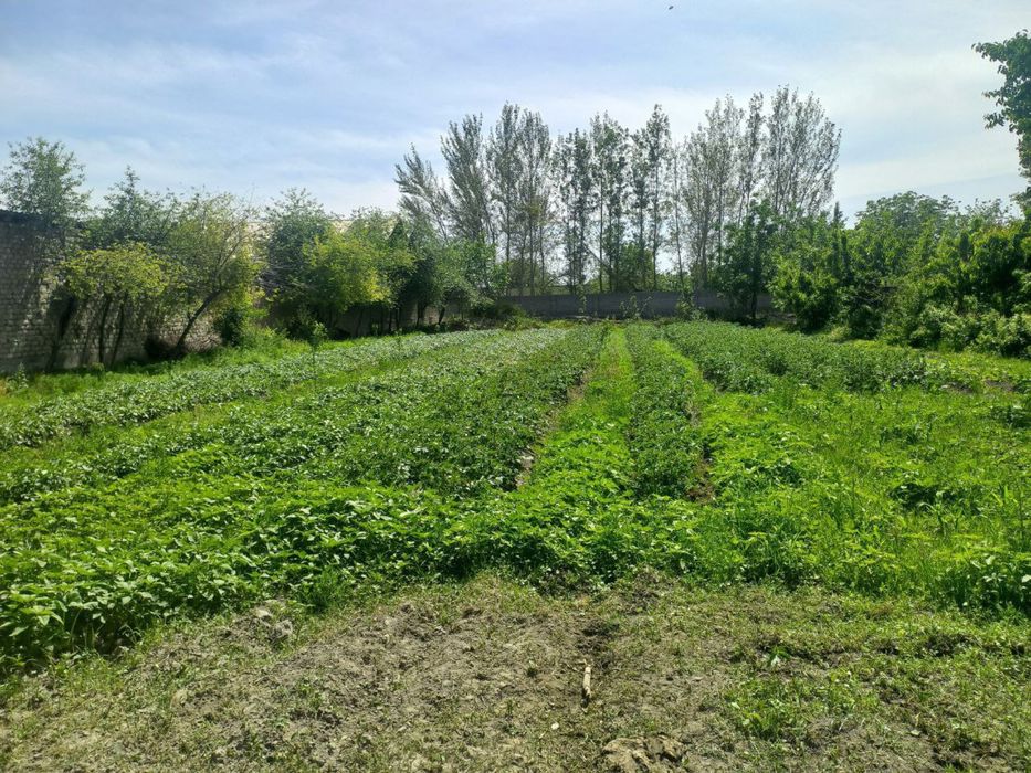 Yer uchaska sotiladi