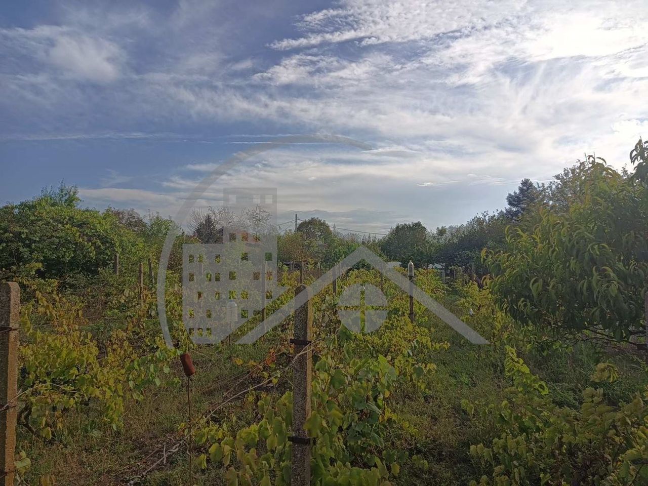 Продава се Парцел в Добрич, м-т Газибаба - 1000 кв.м за 15 €/кв.м - Снимка #9