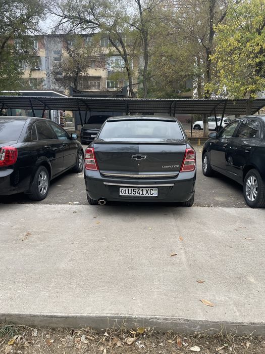 Cobalt 2020 4 pazitsa