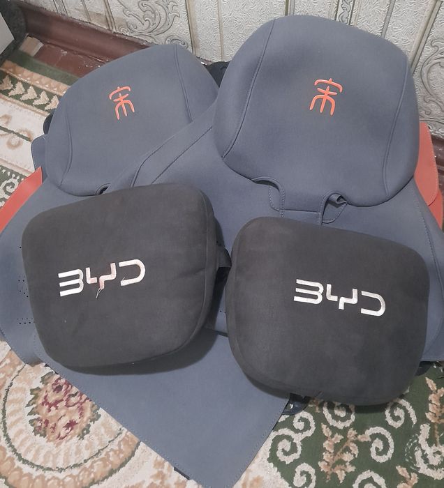 BWD  Chazor chexoli