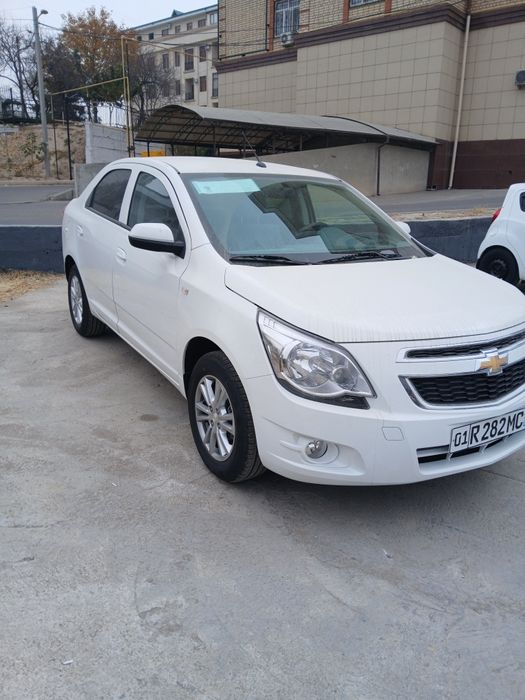 Haxt arenda 2025 kobilt masla tayor.