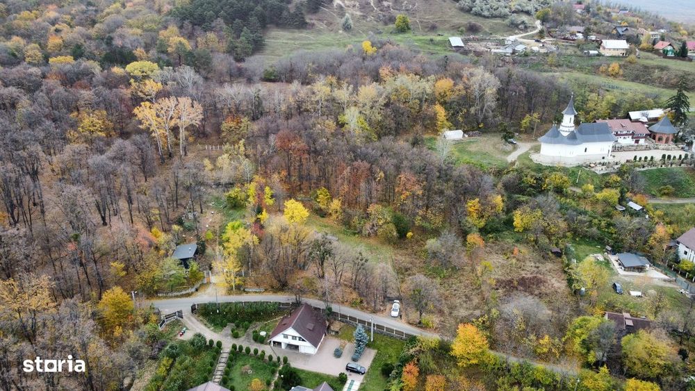 Teren intavilan iasi Bucium 3400 mp mixt padure/liber