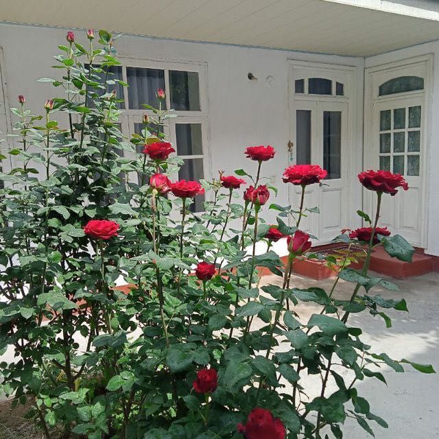 Уй сотилади Андижон Майбагча