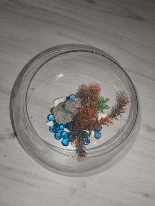 Acvariu pești beta cu accesorii.