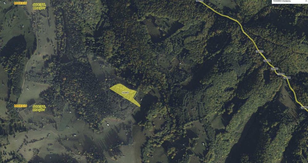 teren Moieciu, zona cheile Gradistei, extravilan