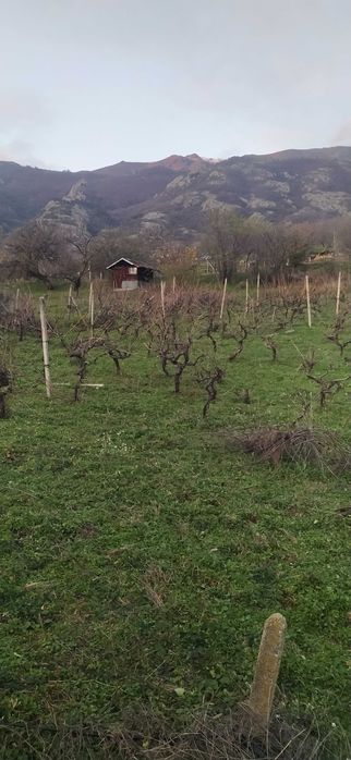 Продава се Парцел в Карлово - 1000 кв.м за 5 €/кв.м - Снимка #6