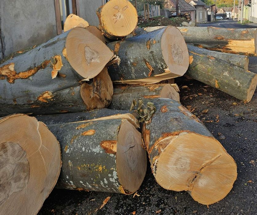 Vând lemn de foc pentru sobă SI centrala