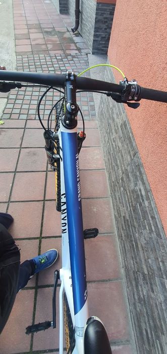 CANYON Grand Canyon 29"