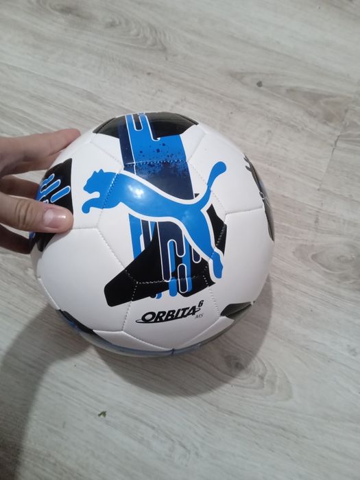 Minge Puma nefolosita