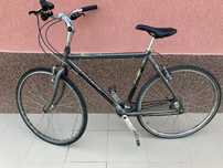 Gazzele 28 oras barbati