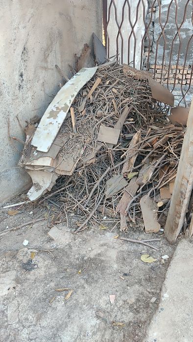 Майда куриган шохчалар  текинга бервораман