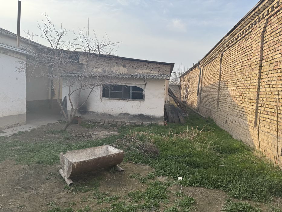 Bekobod tumani. Zafarda 4 so’tixli xovli sotiladi
