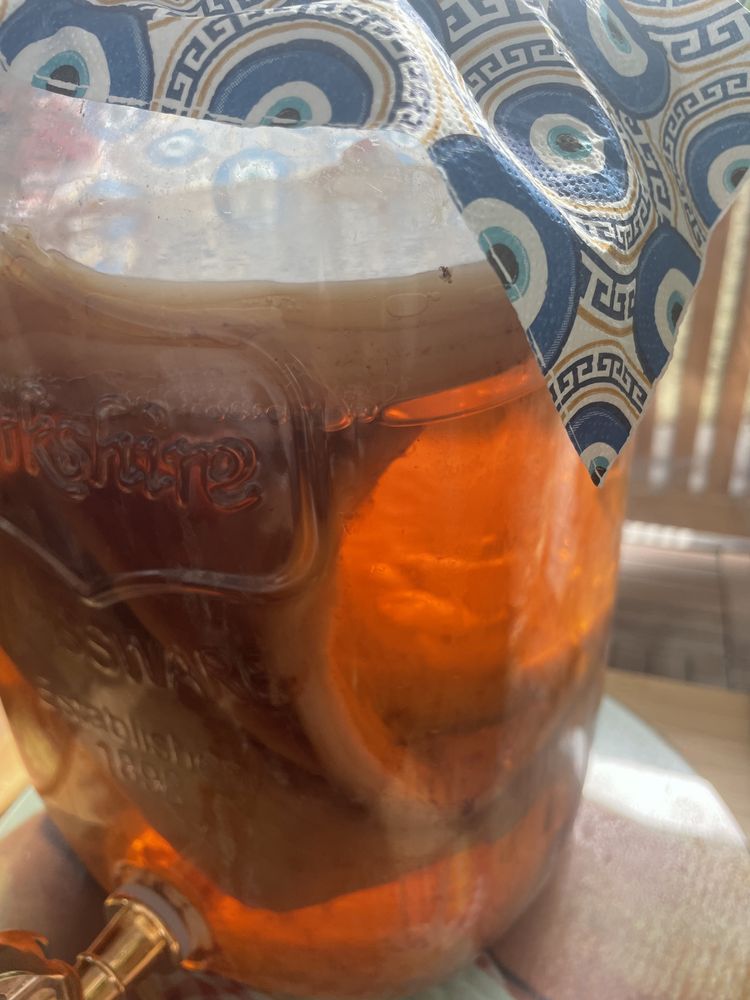 Kombucha ceaiul zeilor