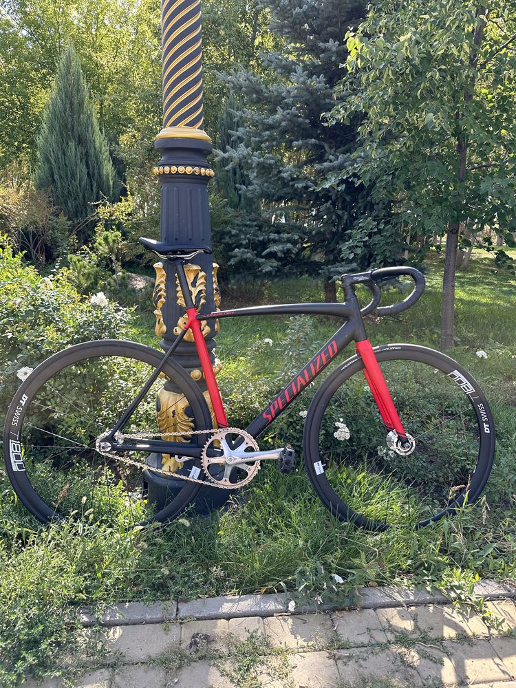 Specialized langster