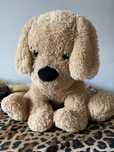 Catel de plus ,inaltime 60 cm