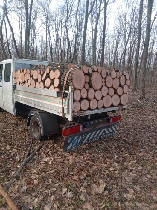 Lemne de foc Esență tare sau moale