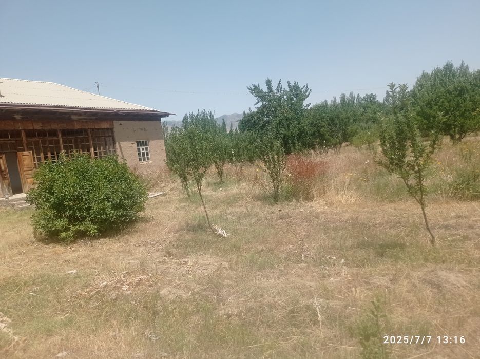 Sotiladi OLMA BOG UY Baxmal 1.5 gektar barter bor