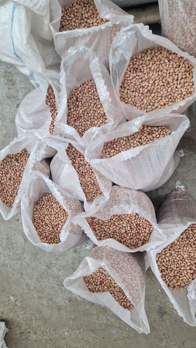 Fasole pestriță România 10kg