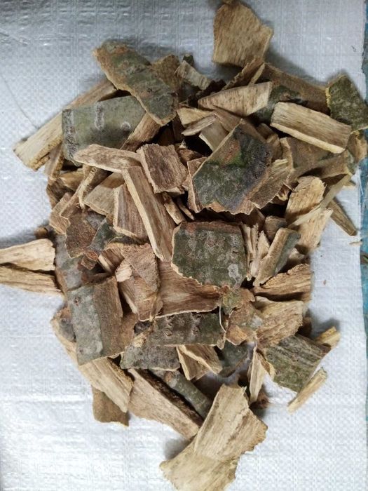 Кора Осины с Алтая